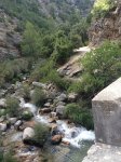 IMG_1306.JPG