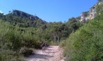 IMAG0359.jpg