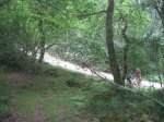 IMG_0423_1022x767.jpg