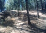 09092008_049.jpg
