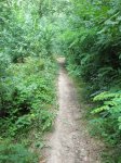 P8050096 (600x800).jpg