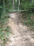 P8050140 (600x800).jpg
