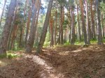 Foto25.JPG