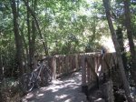 IMG_0199.JPG