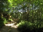 IMG_0019.JPG