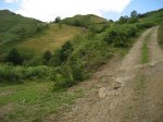 IMG_0062.JPG