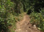 IMG_0067.JPG