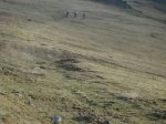 IMG_0502.jpg