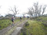 IMG_0509.jpg