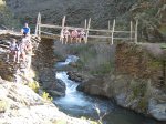 IMG_0543.jpg