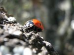 IMG_0548.jpg