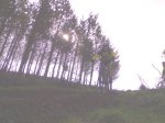 18032007741.jpg