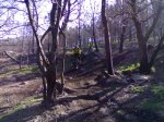 18032007750.jpg