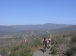 IMG_2324.jpg