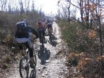IMG_2338.jpg