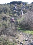 IMG_2402.jpg