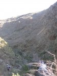 IMG_2424.jpg