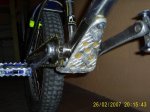 fotos 031.jpg
