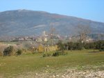 IMG_1915.jpg
