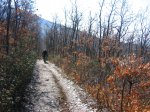 IMG_1993.jpg