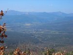 IMG_1995.jpg