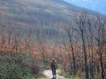 IMG_2000.jpg