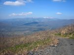 IMG_2006.jpg