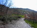 IMG_2008.jpg