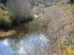 IMG_2066.jpg