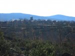 IMG_2168.jpg