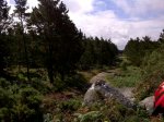 IMG-20120805-00084.jpg