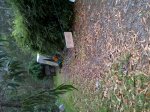 IMG-20120805-00085.jpg