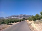 Foto0796.jpg