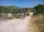 Foto0799.jpg