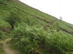 IMG_0037.JPG