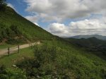IMG_0057.JPG