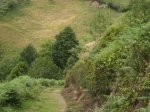 IMG_0063.JPG