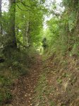 IMG_0066.JPG
