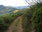 IMG_0035.JPG