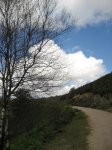 IMG_0048.JPG