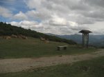IMG_0051.JPG
