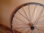 DSC04862.JPG