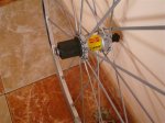 DSC04864.JPG