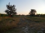DSCN0233.JPG