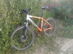 orbea.jpg