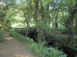 IMG_0698.JPG