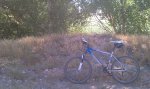IMAG0483.jpg