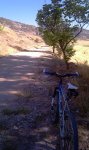 IMAG0484.jpg