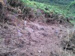 2012-07-10_12-13-04_596.jpg