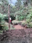 2012-07-11_13-07-43_231.jpg